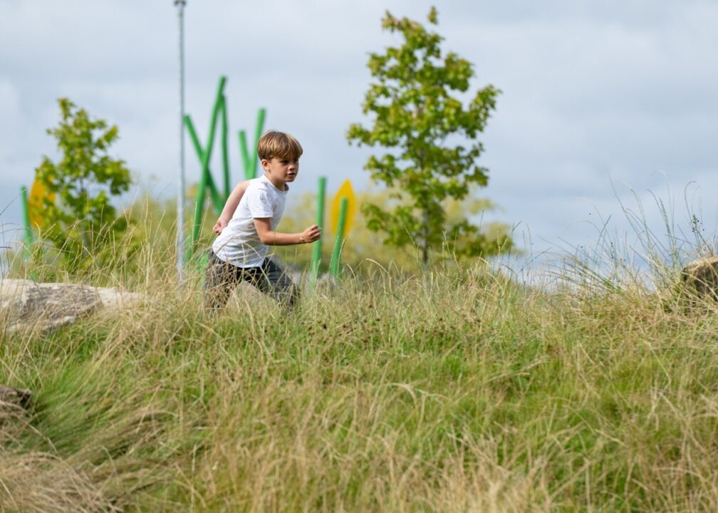 Springfield Park wins Green Flag Award